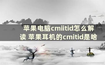 苹果电脑cmiitid怎么解读 苹果耳机的cmitid是啥